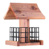 Valley Splendor Songbird Cedar Double Suet Bird Feeder (Pack of 6)