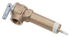 Reliance 3/4 in. MNPT Brass Relief Valve