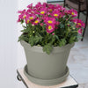 Bloem Terrapot Pebble Stone Resin UV-Resistant Tapered Traditional Planter 7 H in.
