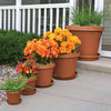 Bloem Llc 50006C 6" Terra Cotta Planter