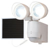 All-Pro Motion-Sensing Solar Powered LED White Entry Light