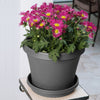 Bloem TerraPot 12.6 in. H X 14.9 in. D Polyresin Planter Charcoal