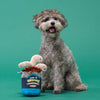 Bark Multicolored Plush Live Bait Bites Dog Toy 1 pk (Pack of 3)