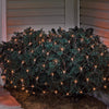 Celebrations Orange 100 ct LED Net Lights