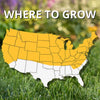 Black Beauty® Original Grass Seed 5 Lb