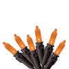 Celebrations Orange 50 ct LED String Lights