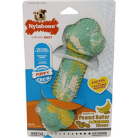 Nylabone Puppy Chew Double Action