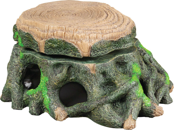 Turtle Trunk Floating Platform