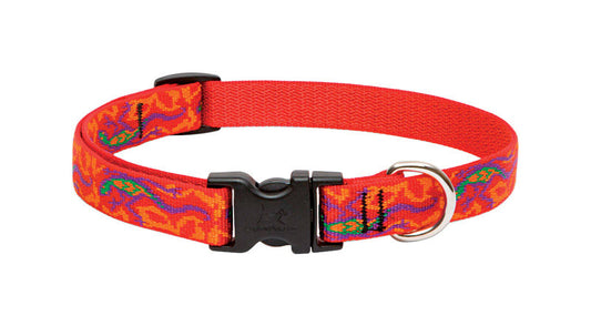 Lupine Pet Original Designs Multicolor Go Go Gecko Nylon Dog Adjustable Collar
