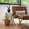 Bloem Ariana 10.1 in. H X 12 in. D Plastic Planter Burnt Red