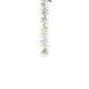 Celebrations Gold LED Rice Multicolored 480 ct Novelty Christmas Lights