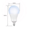 Feit A19 E12 (Candelabra) LED Dusk to Dawn Bulb Daylight 60 Watt Equivalence 1 pk - Deal of The Week