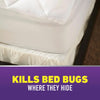 Ortho Home Defense Max Bed Bug Killer Aerosol 18 oz
