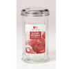 Lifetime Clear Glass Glass Sugar Pourer Sugar Pourer 1 pk (Pack of 4)