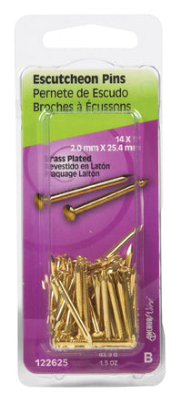 Hillman 14 Ga. x 1 in. L Brass-Plated Steel Escutcheon Pins 1 pk 1.5 oz. (Pack of 6)