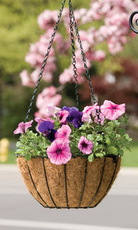 Panacea Growers Hanging Basket with Coco Liner 14 in Black Steel Outdoor Planter