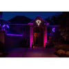 Holiday Bright Lights LED C9 Purple 25 ct Christmas Light Bulbs