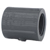 Charlotte Pipe Schedule 80 3/4 in. FPT X 3/4 in. D FPT PVC Coupling 1 pk - Deal of The Week
