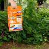 Terro Ant Killer Granules 3 lb (Pack of 6)