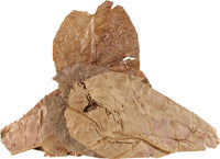 Hermit Headquarters Hermit Crab Catappa Leaves