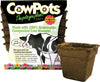 CowPots Seed Starter Pots 4 in Biodegradable Plantable Pots Made from Composted Cow Manure 12 pk - Deal of The Week