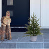 Celebrations 3 ft. Full LED 50 ct Fraser Fir Potted Color Changing Porch Bush