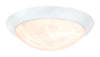 Westinghouse Polished White Switch LED Light Fixture