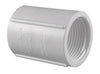 Genova Products 30127 3/4" PVC Sch. 40 Threaded Couplings (Pack of 10)
