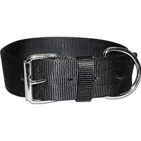 Bravo 2 Ply Nylon Dog Collar