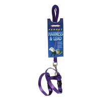 Marshall Ferret Harness And Lead 48 in.