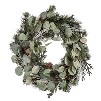 Celebrations Home 24 in. D Wreath (Pack of 4)