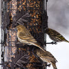 Perky-Pet Wild Bird 8 lb. Metal/Plastic Bird Feeder 9 ports (Pack of 2)