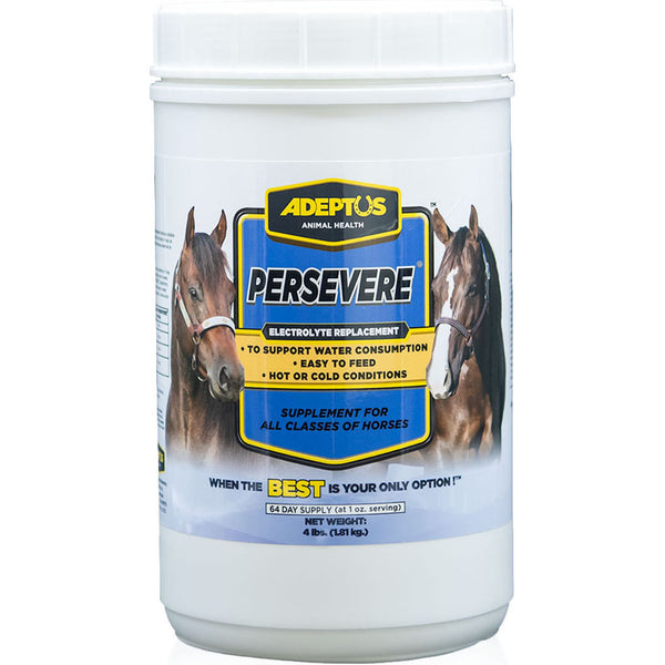 Adeptus Persevere Electrolyte Supplement for Horses 4 lb Powder Electrolyte Replacement