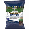 Jonathan Green Black Beauty All Grasses Sun or Shade Grass Seed 25 lb