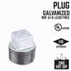 BK Products 3/4 in. MPT Galvanized Malleable Iron Plug (Pack of 5)