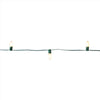 Celebrations Classic LED C9 Warm White 25 ct String Christmas Lights 24 ft.