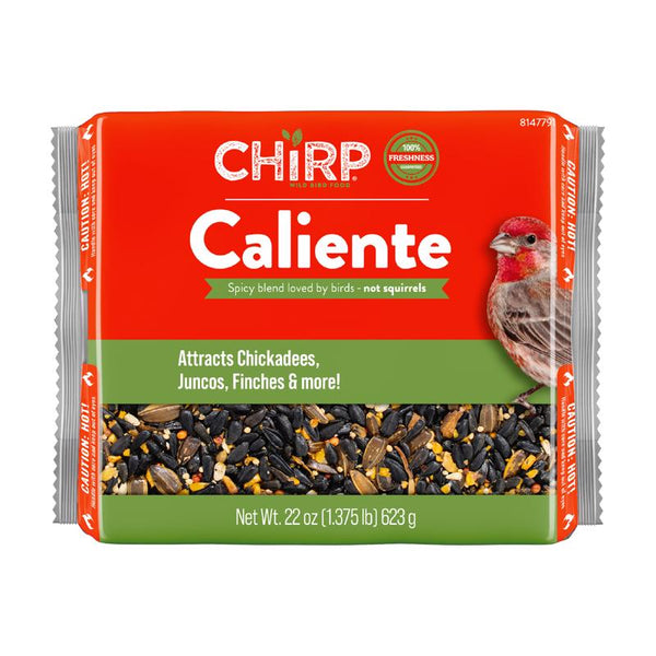 Chirp pastel de semillas para aves silvestres Caliente, 22 oz (paquete de 6)