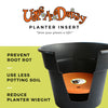Bloem Ups-A-Daisy Orange Plastic 1 in. H Round Plant Insert 1 pk