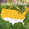 Jonathan Green Black Beauty Original Tall Fescue Blend Tall Fescue Grass Sun or Shade Grass Seed 25 lbs.