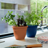 Bloem Ariana 13.75 in. H X 17.75 in. W X 17.75 in. D Plastic Traditional Planter Terracotta - Deal of The Week