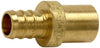 SharkBite 1/2 in. PEX Barb X 1/2 in. D Male Brass Pipe Adapter