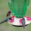 Perky Pet Hummingbird 32 oz Glass/Metal Cactus Top-Fill Bird Feeder 5 ports (Pack of 2)