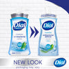 Dial Complete Spring Water Scent Antibacterial Foam Hand Soap 7.5 (Pack of 8).