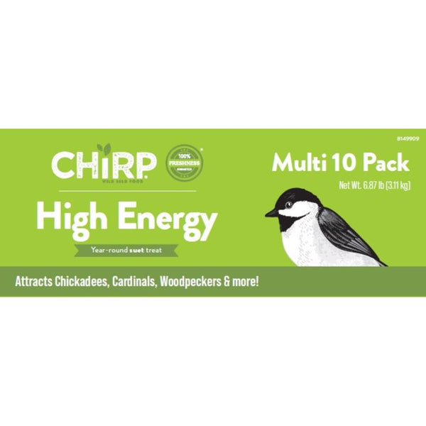 Chirp High Energy Suet Mixed Seed Suet 11 oz