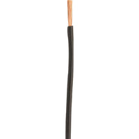 Coleman Cable 100 ft. Stranded 12 Ga. Primary Wire