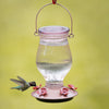 Perky-Pet Hummingbird 24 oz Glass/Plastic Nectar Feeder 5 ports (Pack of 2)