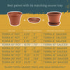 Bloem Terrapot 9 in. H x 10 in. Dia. Resin Traditional Planter Terracotta Clay