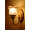 Feit A19 E26 (Medium) LED Bulb Soft White 75 Watt Equivalence 2 pk