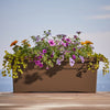Bloem Terrabox Chocolate Resin Rectangular Veranda Planter 9.8 H x 11.7 W x 26.3 D in.