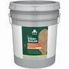 Duckback Semi-Transparent Tintable Tint Base Stain and Sealer 5 gal